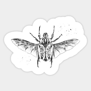 Beetle Sticker